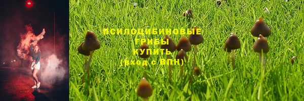эйфоретик Верхний Тагил